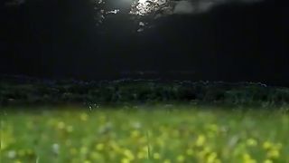 Nice ???? video