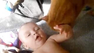 Cats loves babies