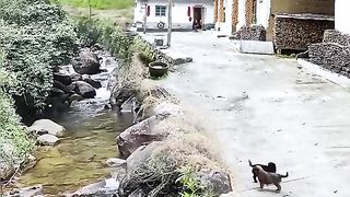 Nice views video