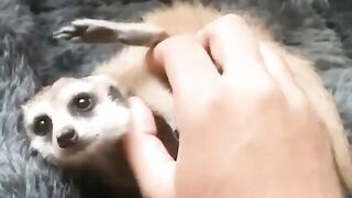 Cuddle time!