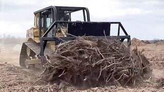 This Dozer clears the land with ease