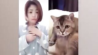 animaux les plus drôles 2