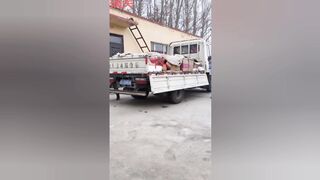 Funny 4