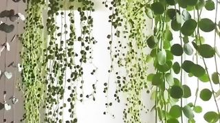How to Decorate Your Room in an Aesthetic That You Love