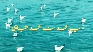 Do cheezy musalman ourt se do kardi jay