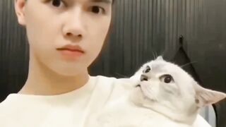 cute cat 3