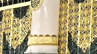 ماشاءاللہ روزہ مبارک کی زیارت 2