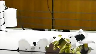 Ultimate Robot Fighters In Miniature Rings