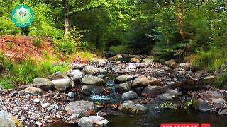 Sura Waqia With English Translation