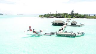 Beautiful Relaxing Music for Stress Relief • Meditation Music, Sleep Music, Study Music