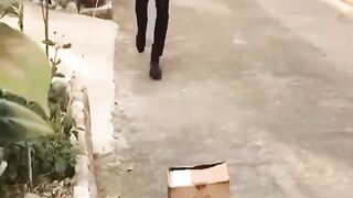 Funny video 103
