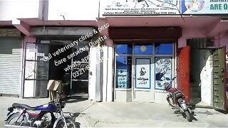 My clinic 2