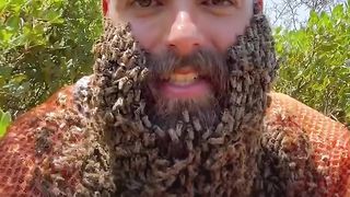 Meet The Bee King!