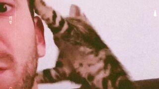 Cat gives more love than human