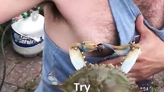 Try Not To Laugh At These Crazy, Funny Animals
