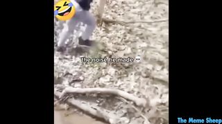 try not to die laughing