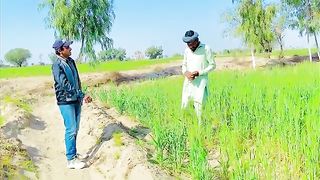 Rishty_walu_ne_mar_bhagaya|How_to_ask_for_relationship_for_marriage2023Irfanshakeel
