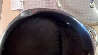 Смешная норка