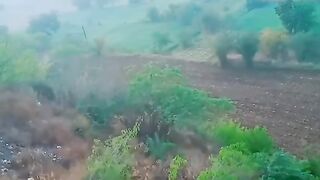Butifulle video 5