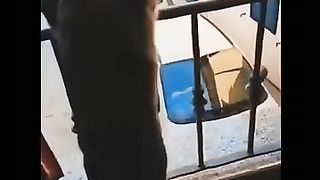 New funniest video 2023