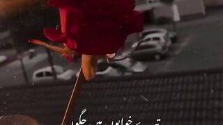 Short video song 2