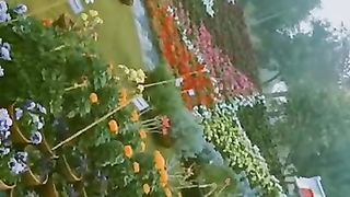 Flower exhibition