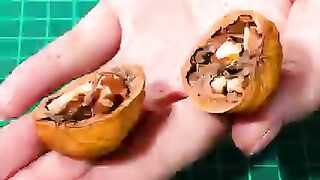 Cozy Room Built in a Walnut ShelL