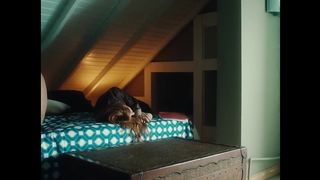 Selin - LOVERS HURRICANE