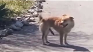Шутки 2