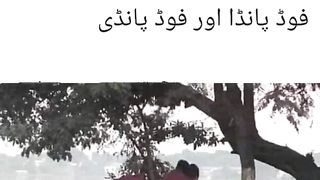 Foodpanda