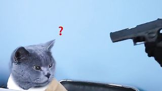 When It's Your First Day As A Villain????????_ Funny Cat TikTok #funnycat #catsoftiktok #shorts.