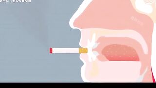 Smokes 100 sigretes# watermelonsmokes100sigretes