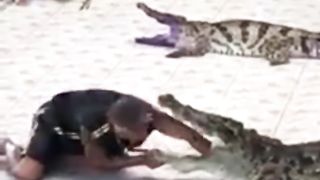 لاحظو كيف مزق التمساح يد مروضه
