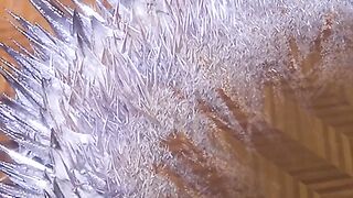 Elsa movi 2