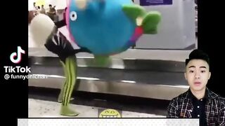 The most funny TikTok video