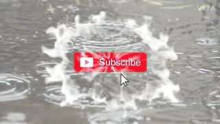 Nature  Funny Bro NATURE'S 4K