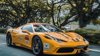 The most famous car TikTok