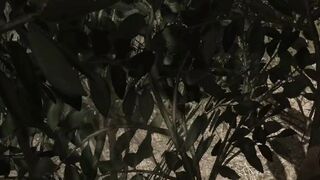 FARCRY2 MISSION