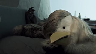 El Capon - Shut Up Chicken