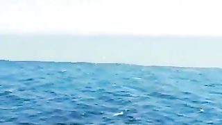 Ek dariya hai jismein Pani do kism ka hai lekin usmein mix Nahin ho raha