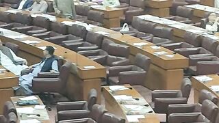 ان کے لیے لڑ رہے ہو