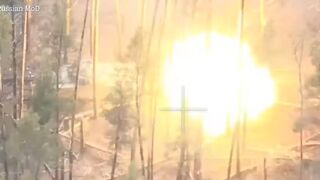 Russian T-80 armoured tanks blast Ukrainian targets hidden between trees