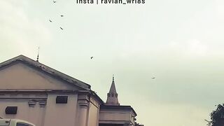 poetrylines