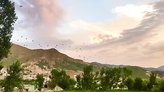Natural beauty #beautiful scenery