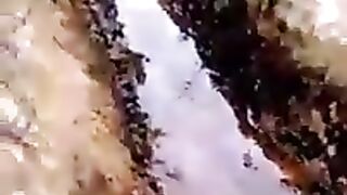 Vlog my beautiful village 2