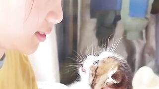 New Funny Videos 2