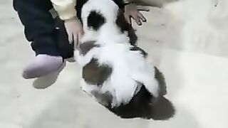 Child play with baby dog.  Funny plz support to subscribe