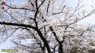 ???? Meditation Music ???? Relaxed mood ????????Nature's fabric ll Sleeping mood ????