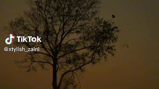 sad_poetry_plzzz_1000_likes_this_chanal