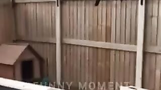 Funny video 123